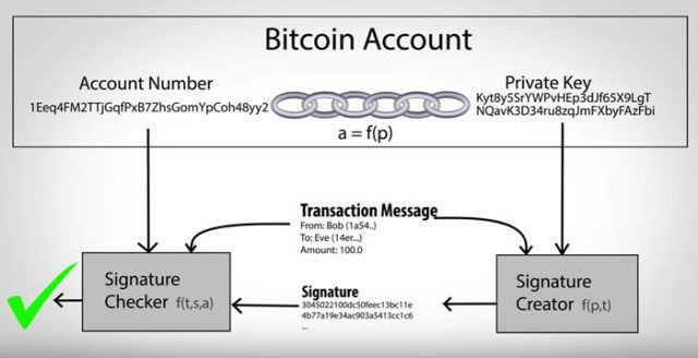 bitcoin forza bruta chiave privata