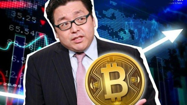 homem de oculos olhando para uma moeda de bitcoin