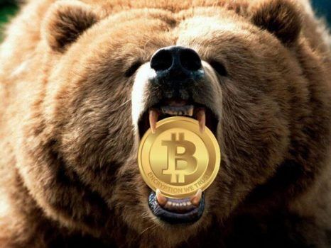 urso com uma moeda de bitcoin na boca